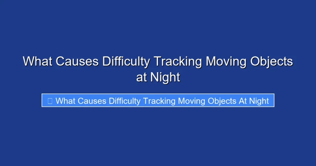 What Causes Difficulty Tracking Moving Objects at Night