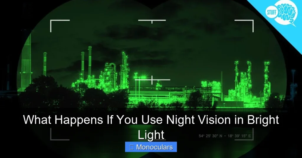 What Happens If You Use Night Vision in Bright Light