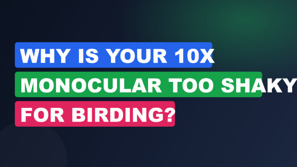 Why Is Your 10x Monocular Too Shaky for Birding?